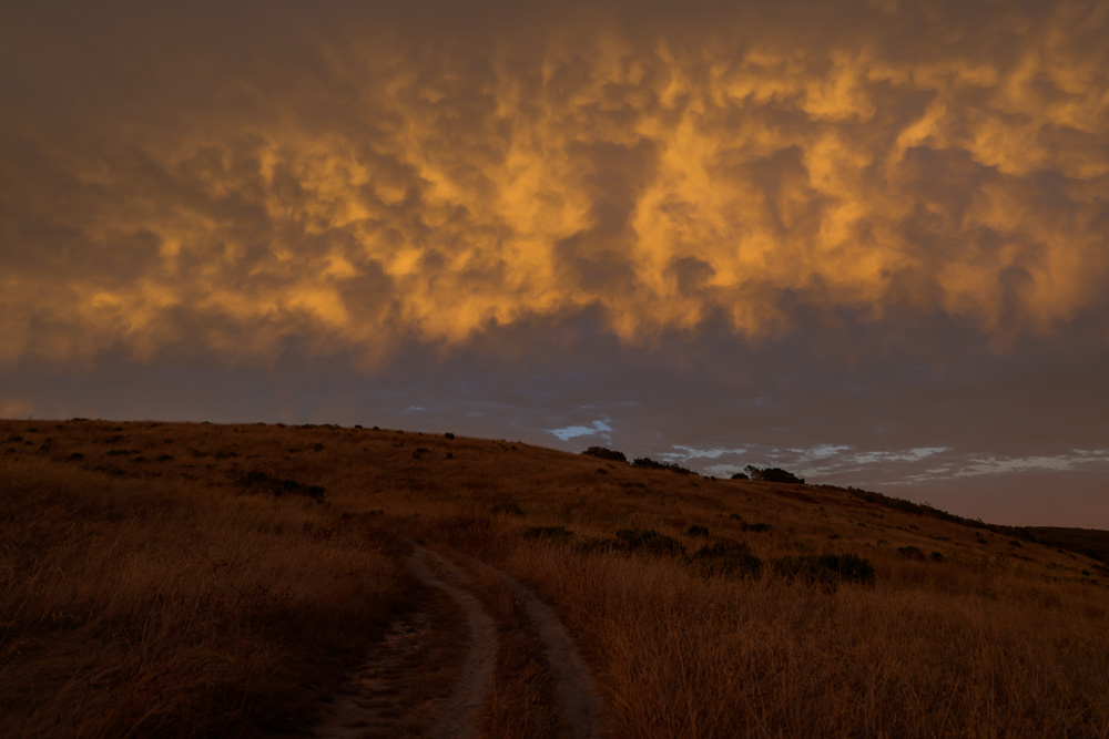 A Road Less Traveled